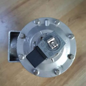 Cheapest Factory Mac Pulse Valve - China Single pulse dust collector solenoid valve manufacturer pulse spray valve explosion-proof valve – Xintian